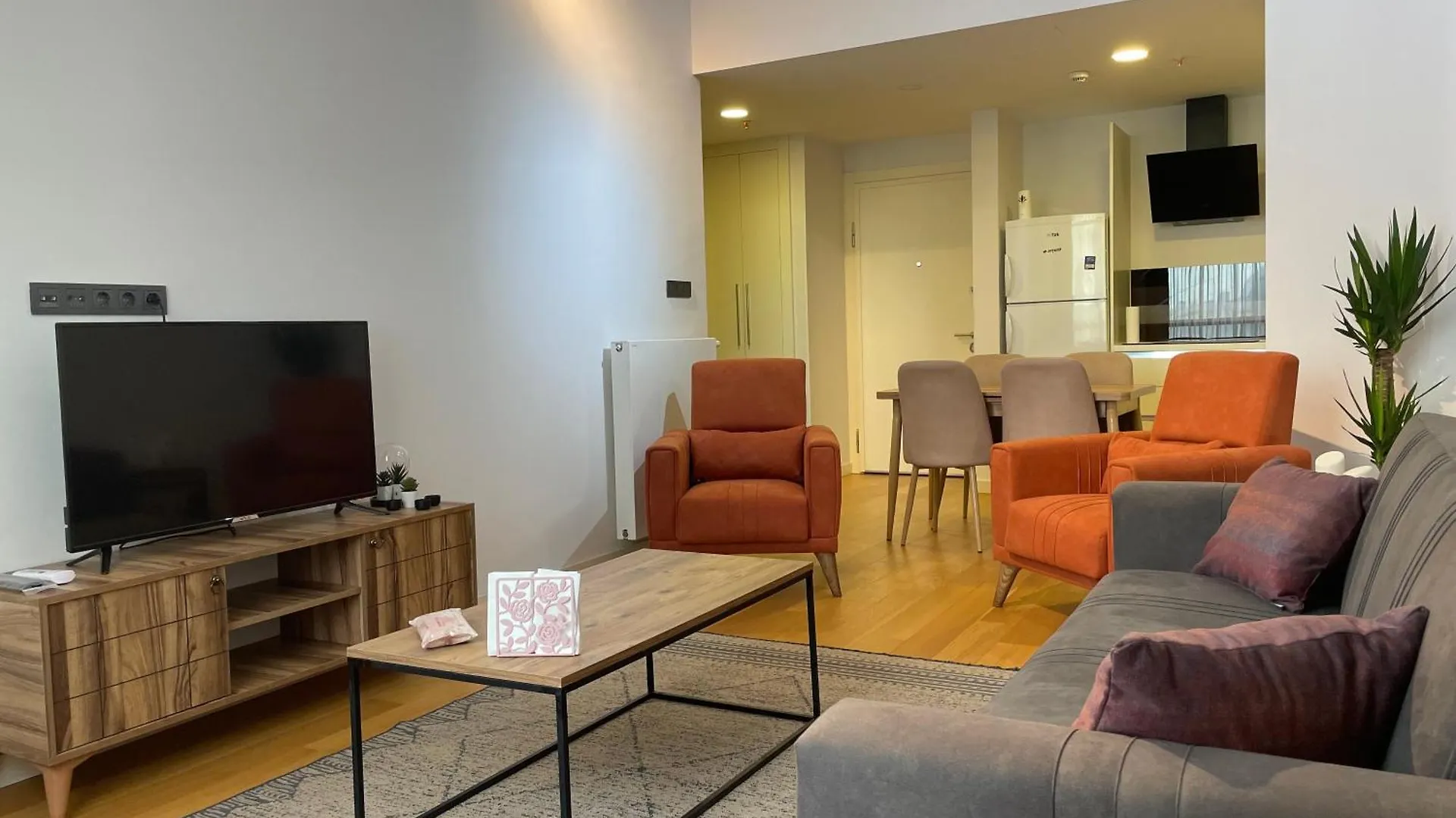 Luxury Fully Furnished Apartment Estambul